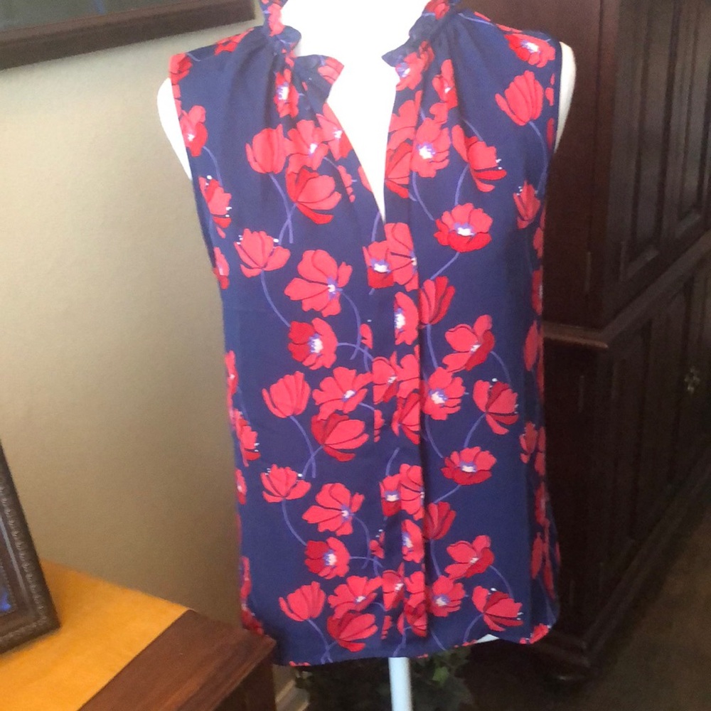 41 Hawthorn Red and Blue Sleeveless Blouse with Mandarin Collar